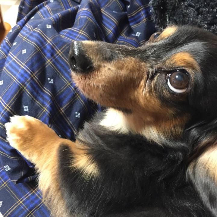 F1a8ed15 42f5 4811 b477 1c53153f4908