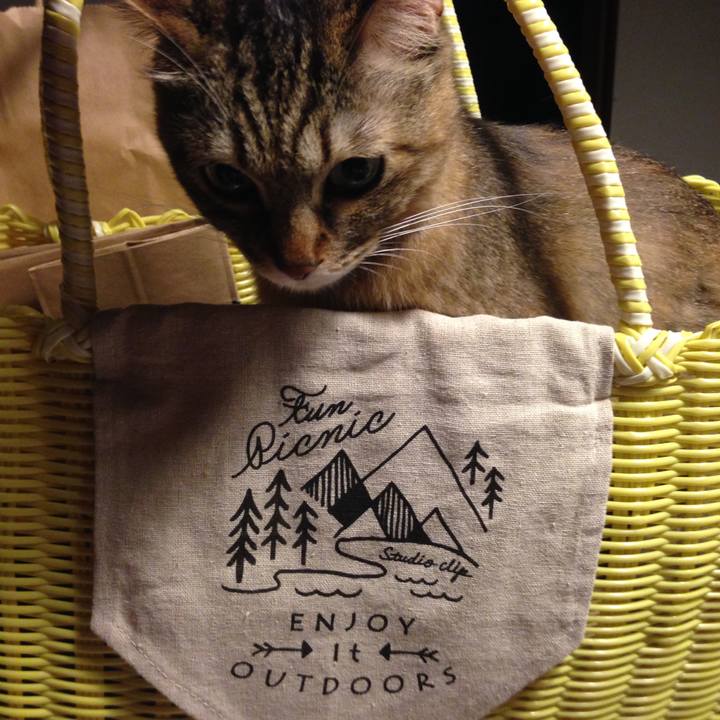 F1a9e182 a1f0 4a19 a6b2 e119f40bf6d9