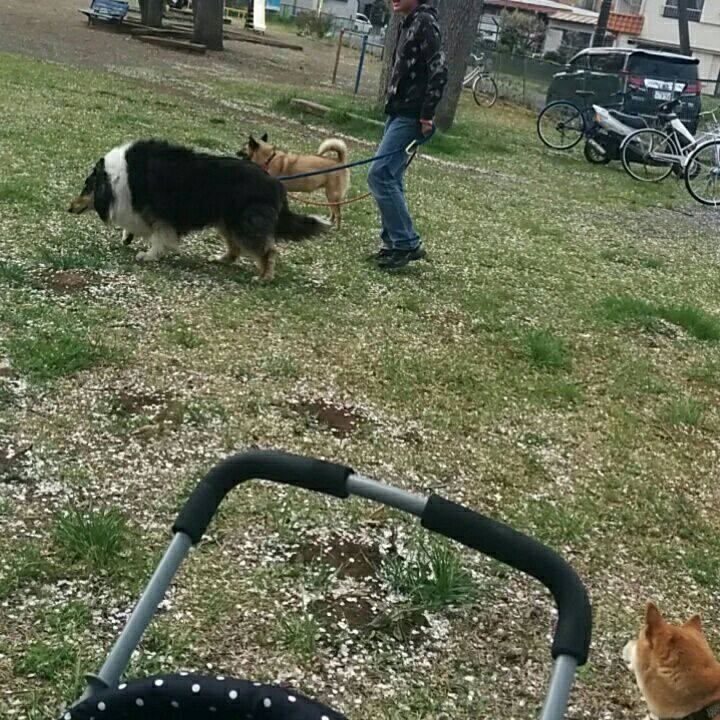 F1aa296e 21b8 43bb 9fac 64361d80a90b