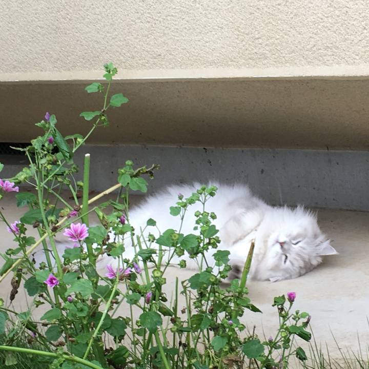 F1aa57ac 7156 487a 8653 75dedc48a7ef