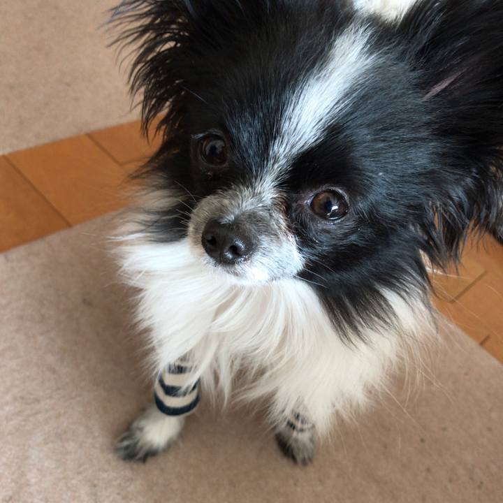 F1ab59f6 ce56 4226 a44c 05a4cf683bf9