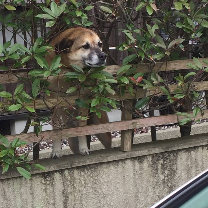 F1ab5c67 6308 4301 9c59 92bbbce9d09a