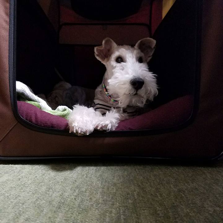 F1ab6eaa e838 4683 8c7b aacc333bb53e