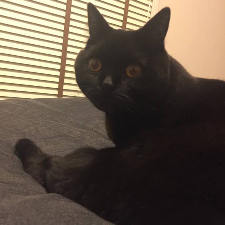 F1ab897f ef48 4a7f 9788 b57ae26d919b