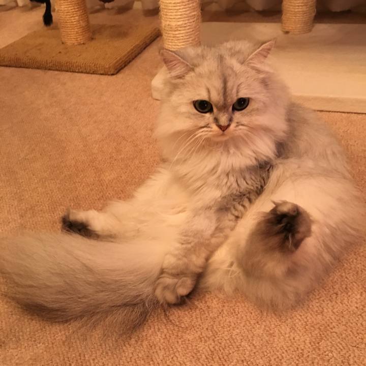 F1ab9bde 95ef 4bea 812c 21d26b32729d