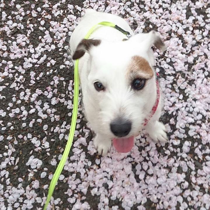 F1abeb08 4923 48f7 83a0 9ee2bd08e78d