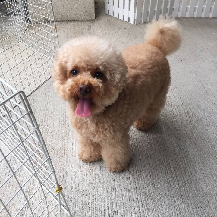 F1ac07a7 6660 4d88 8205 a6079b60ea8a