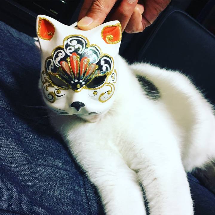 F1acc982 f3ab 4a91 8154 aed0e9286444