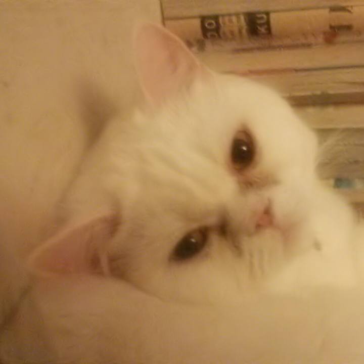 F1ace0e7 39b9 40fe a657 f7f28b136c1c