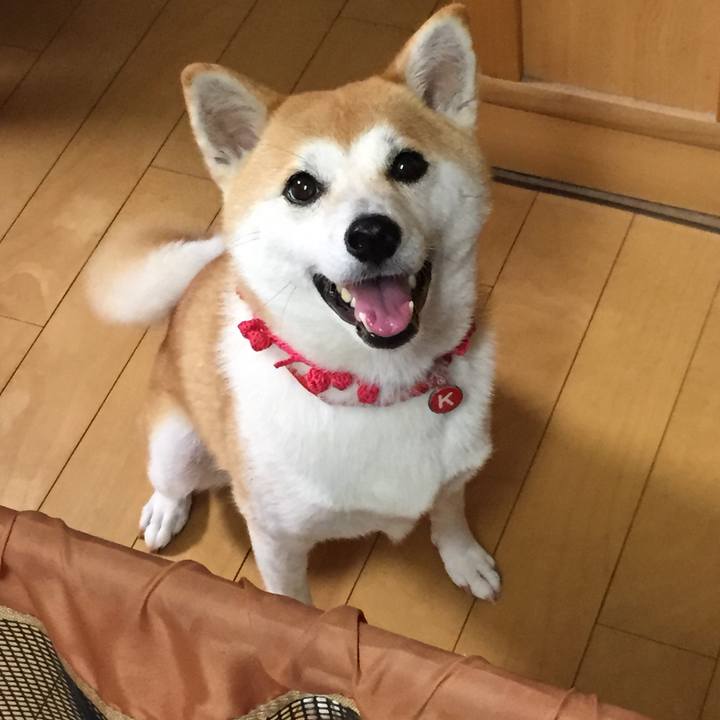 F1ad4605 ed82 48c3 b339 4a31ddddfc80