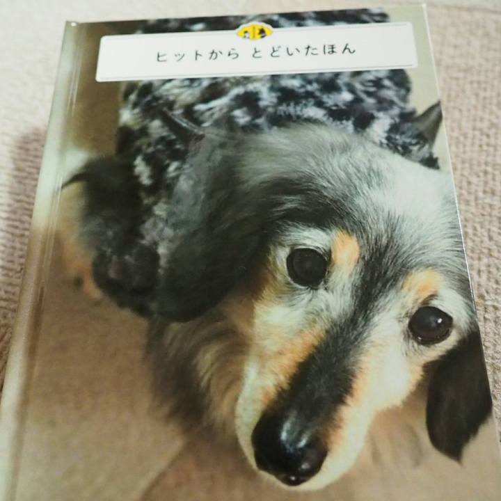 F1ad4694 0d7f 448f b147 30de524f3685