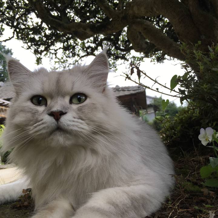 F1ae34bc 2385 47fd 96ea 49754203f6fb