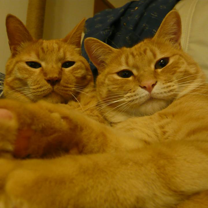 F1ae74b9 9bb1 4ce3 9432 a5800b25f8d9