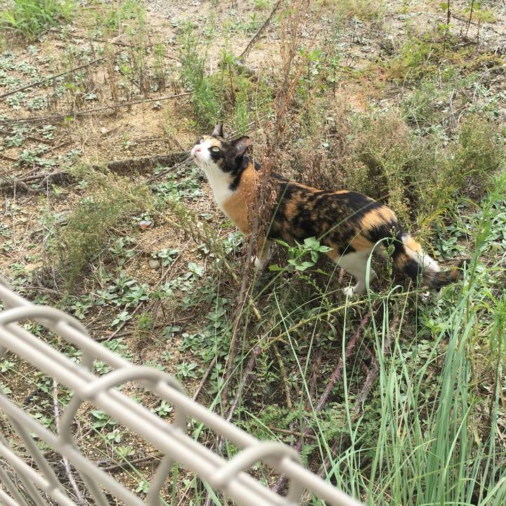 F1aecff7 6533 4156 913e 224a6a746276