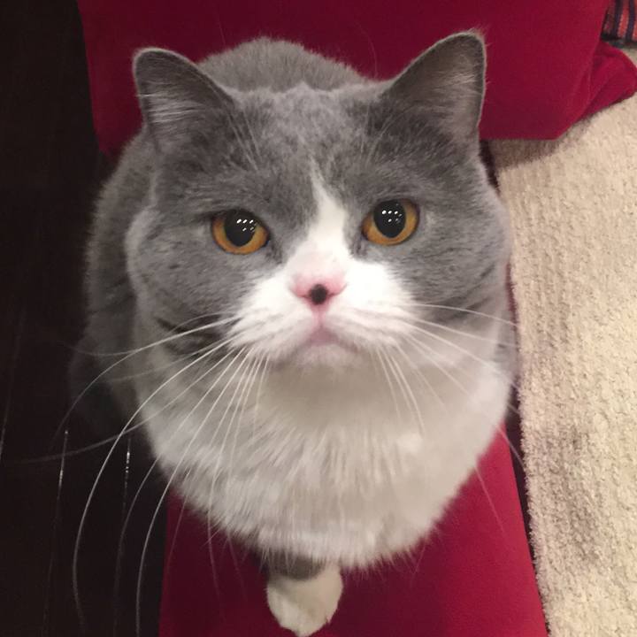 F1aedc11 ec7c 451c bde3 65b84ca7ea74