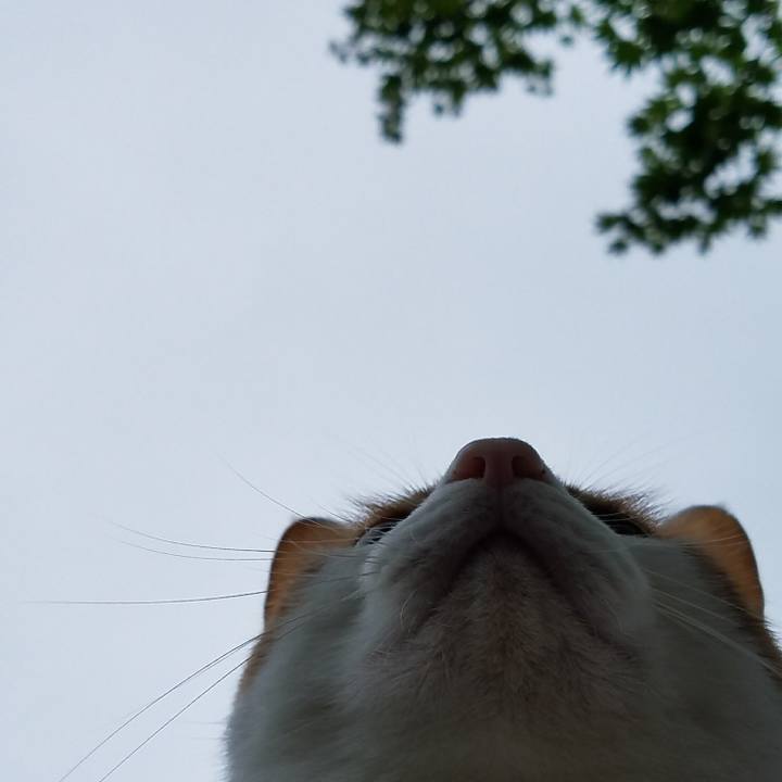 F1aef50d 4463 449d b796 522eb58f574e