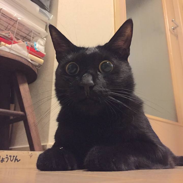 F1aef77f 2025 4f97 a868 feebfcdb472c