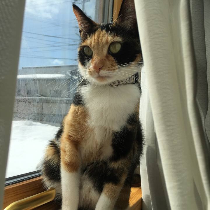 F1afb109 10a7 44e5 b434 4ef80e1e4356