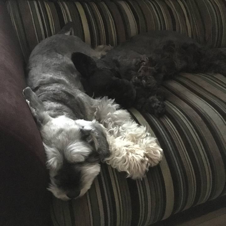 F1b00a05 1e32 4c5e 903f c3dfd3d02709