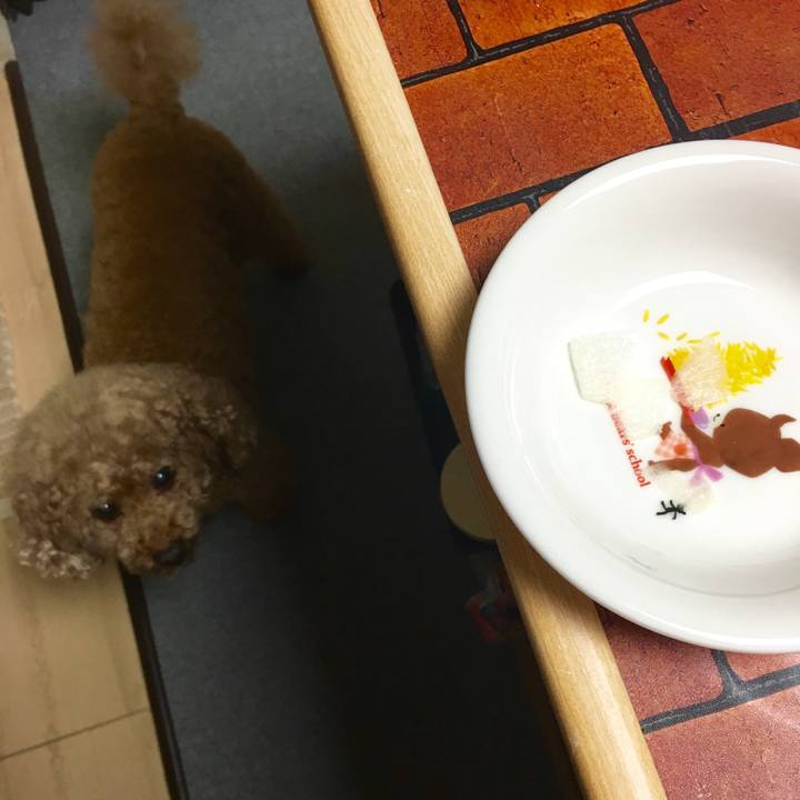 F1b01bfc 3293 4dc0 b030 72a0a30c0746