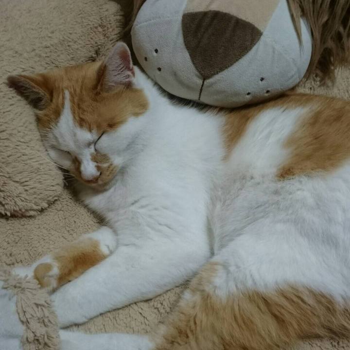 F1b0516c 0de7 48ba bfef 436b46b661f3