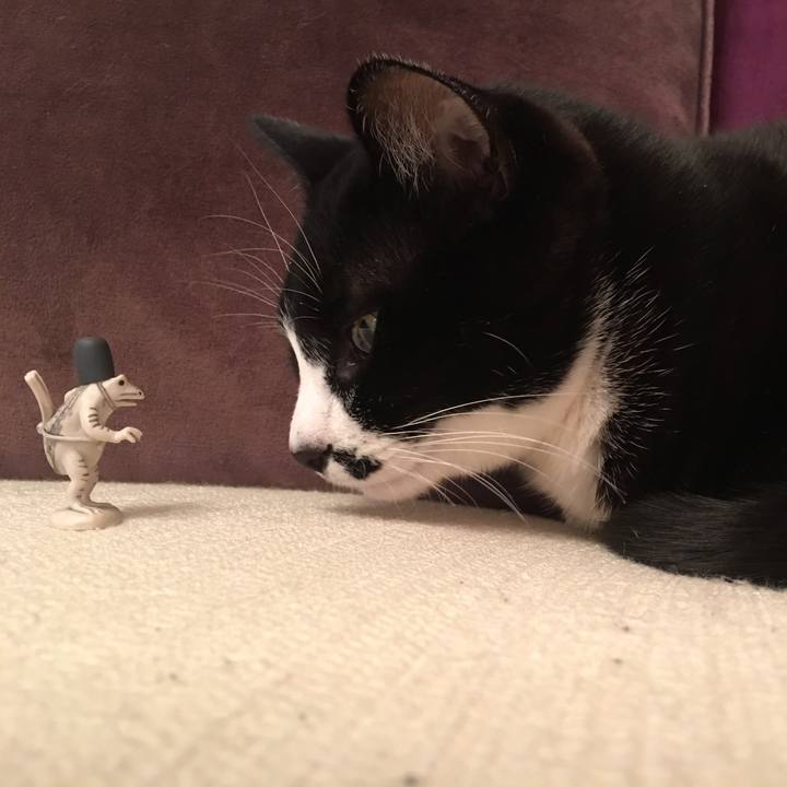 F1b099a3 0b03 4c7b 8da4 6434a30139f1