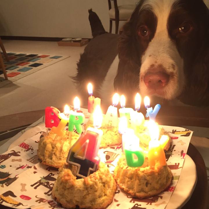 F1b0df88 ac4c 431a 930b 4f0148c857ee