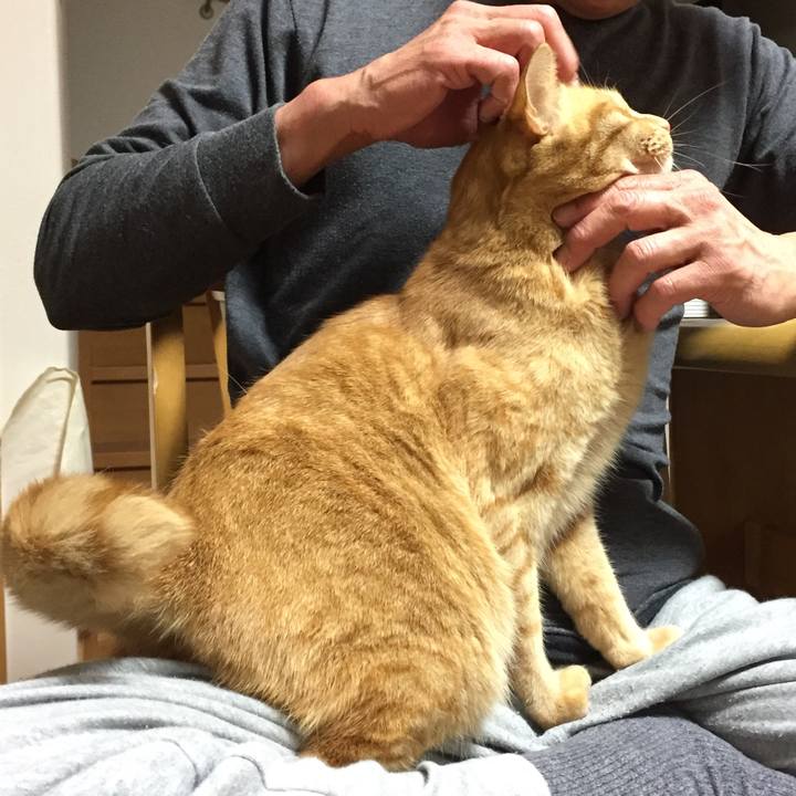 F1b106eb b3dd 448f 8519 8ad65576cc17