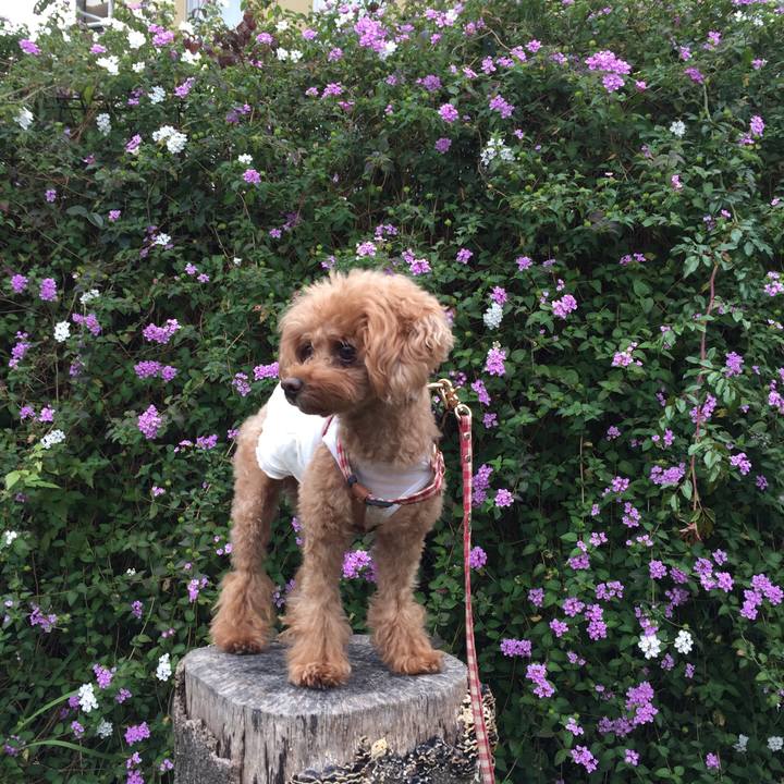 F1b13af7 af90 446e bc83 735a0d699bb0