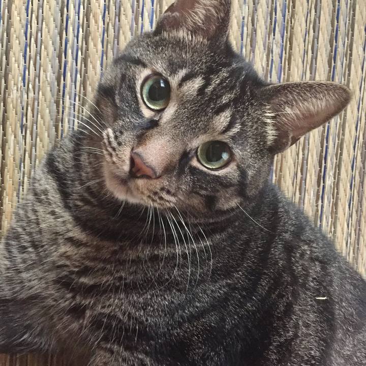 F1b1d12e 4d08 4a80 8418 94263f26bbc0