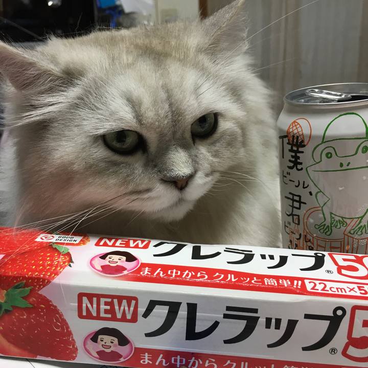 F1b1d428 6089 40ec 86e2 ff0aee7fd304