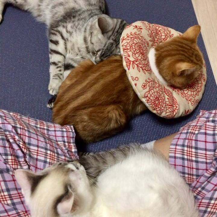 F1b288d1 3ba1 4d0f a329 484a4d837e52