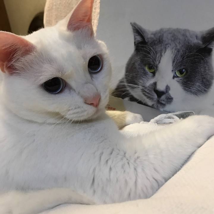 F1b3801e 821f 4fad 91c7 5be31d2e306b