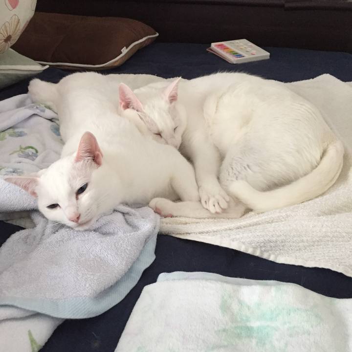 F1b45a7f d52a 47ca 9eb8 1df4342c2e7d