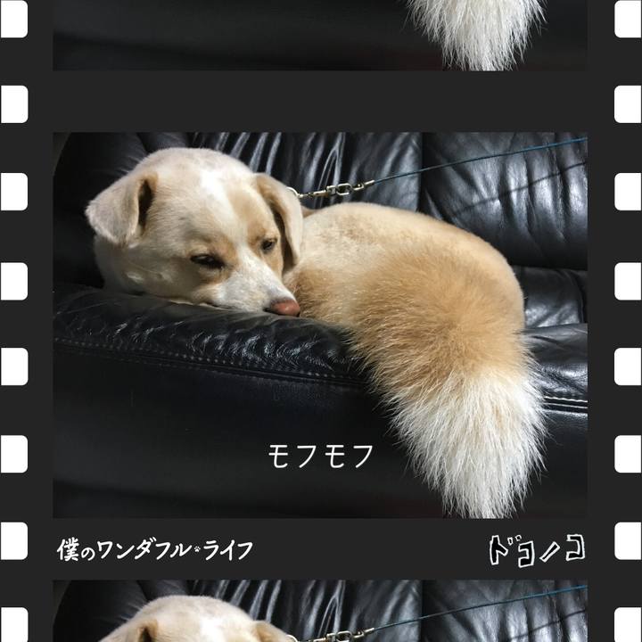 F1b5b15a 2226 4d8e ab46 de8fe86cfea6