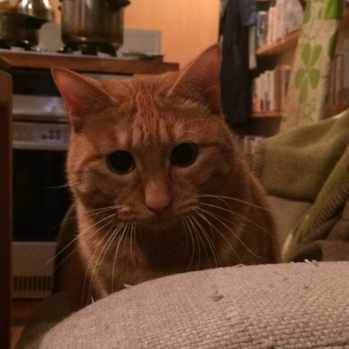 F1b5cf99 f8e7 45b8 beeb 534623f66806