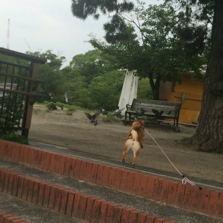 F1b5e843 1be0 4421 a9c2 dfe1eb73e754