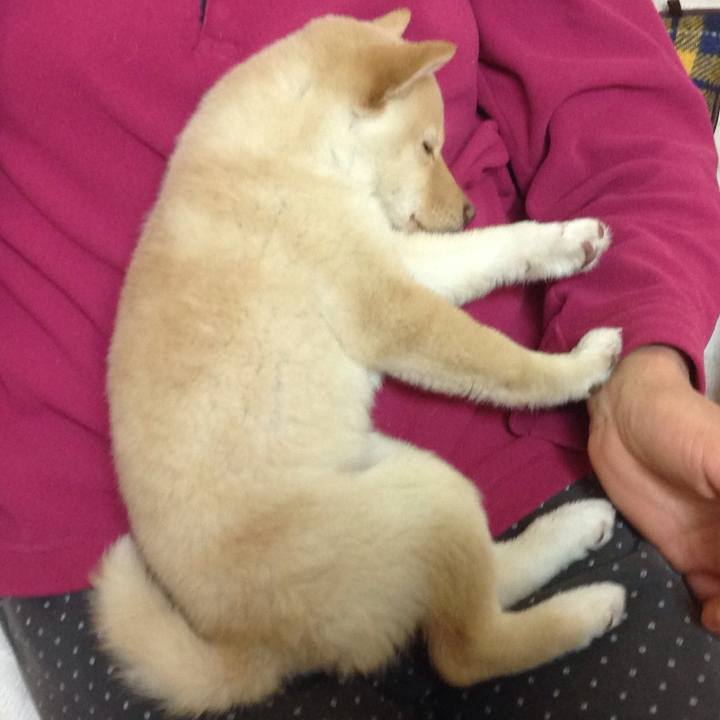 F1b600e5 375b 4a1f 881a 716fab626c1d