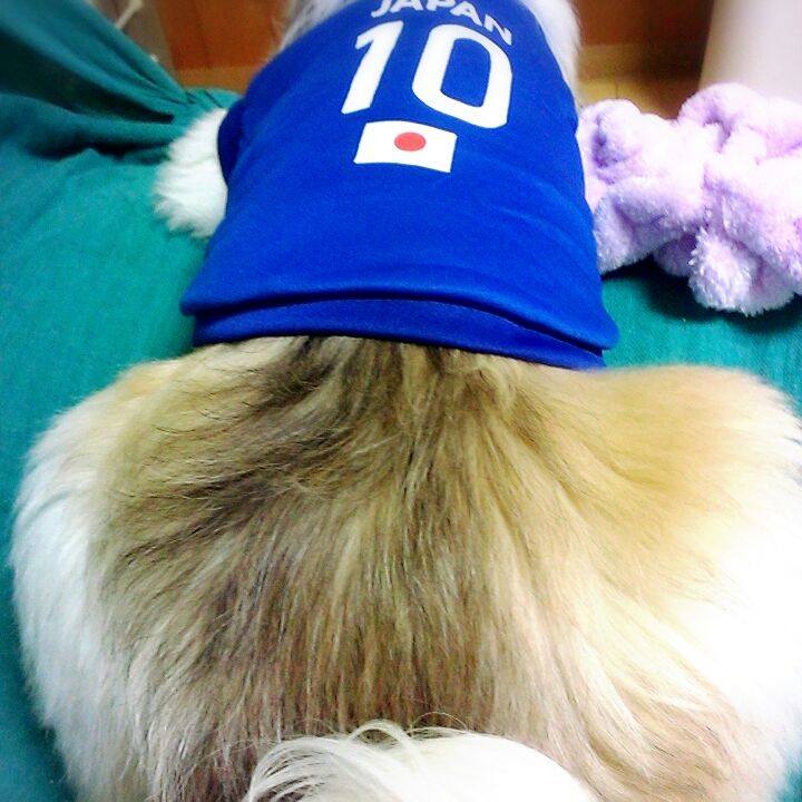 F1b6215a ec39 41ac a778 c2b03a2363a0