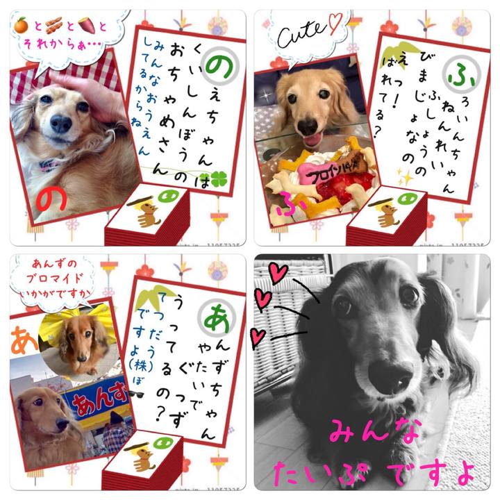 F1b6704d bdd2 4745 917a 2c37af5e85d4