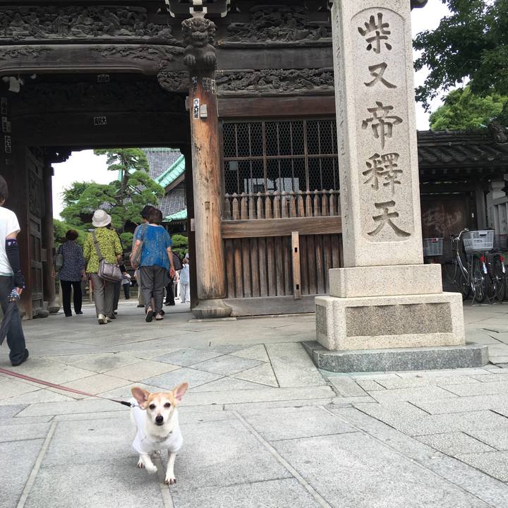 F1b68c86 9c22 45d2 9f0a d7341cbec708