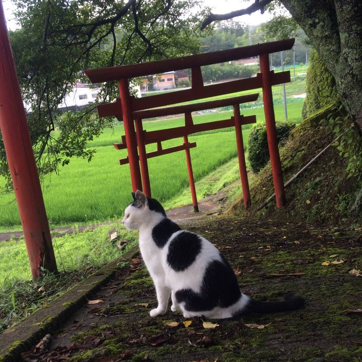 F1b6969e 0139 429f aaa3 15d75370577c