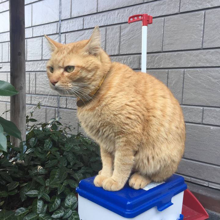 F1b6cc80 a788 47a8 b5ad 767ad41bc44e