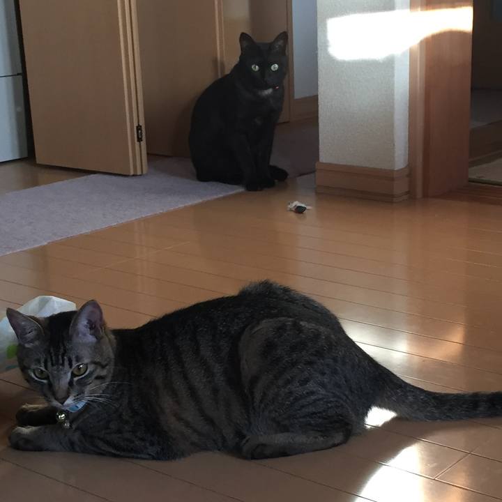 F1b72194 92b5 4a9d 9ebb 00d9e609495b