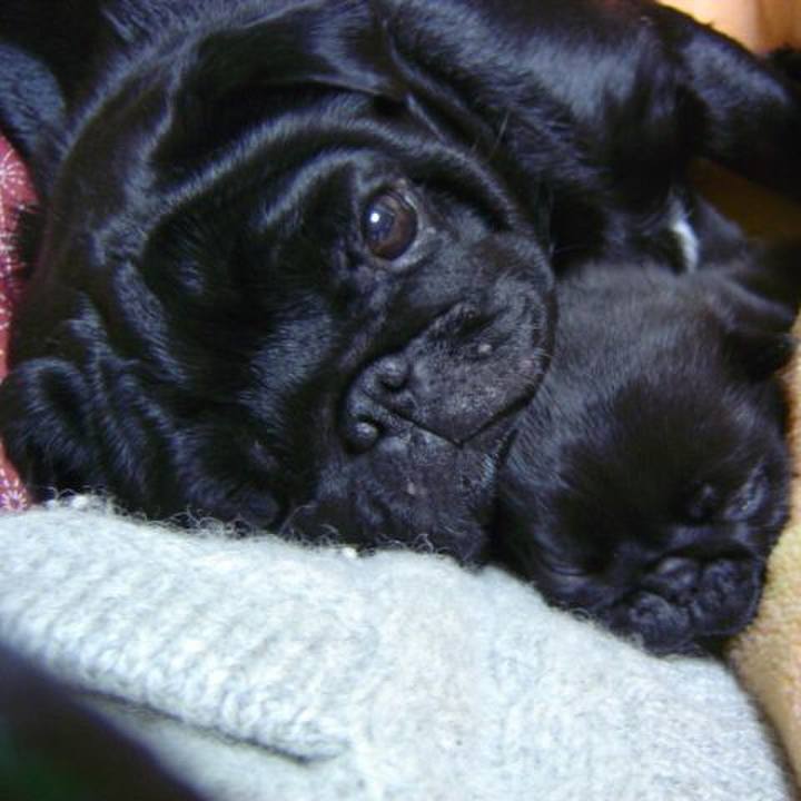 F1b73bd3 6a08 425a ba2e 0ce415bf7a0f