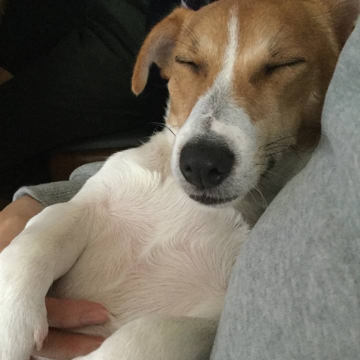 F1b73cb5 33fc 446d b338 caa30aaecf15