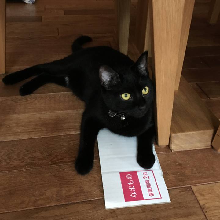 F1b7442a f668 42cb 806d 97a974bc9e3a