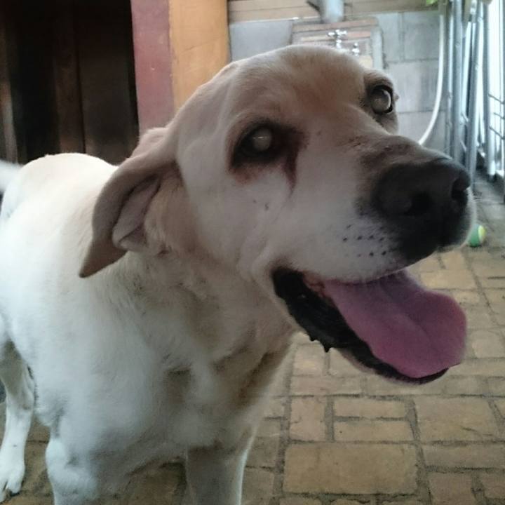 F1b7b91a f3c4 4e79 8526 da8f53e7dbfe