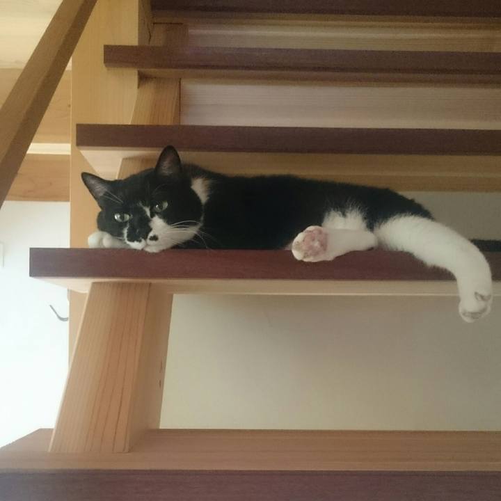 F1b80ffa c30e 42c5 82ae 37be618efe90