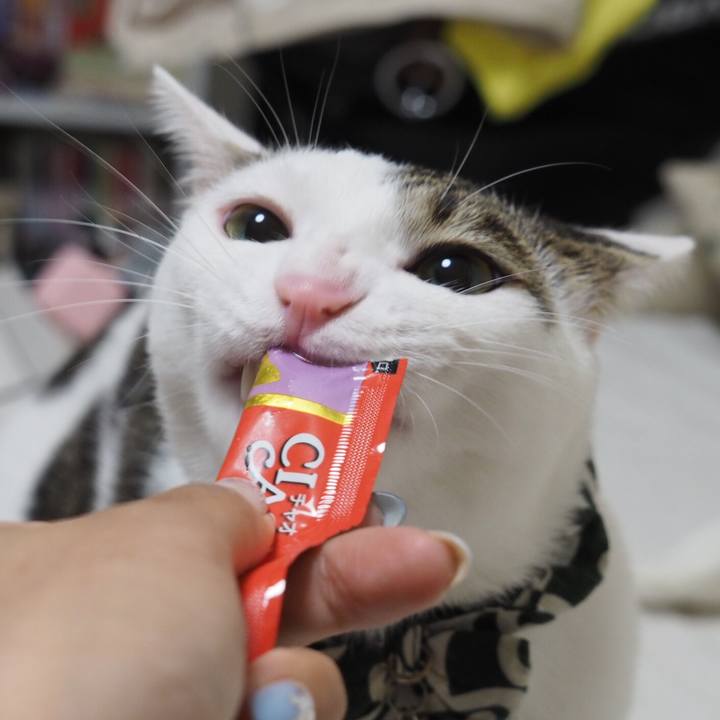 F1b81739 d178 4721 8a1c 4c94edd4503e